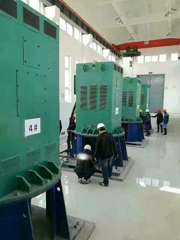 YR630-6某污水处理厂使用我厂的立式高压电机安装现场