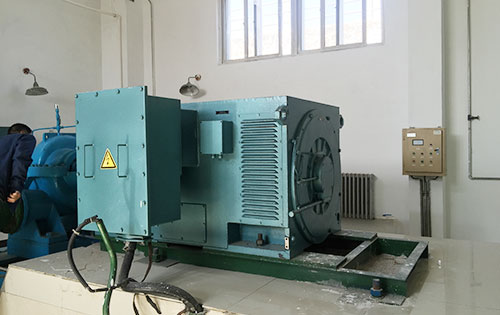 YR630-6某水电站工程主水泵使用我公司高压电机
